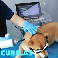 Appareil de thérapie laser vétérinaire haute puissance 30W pour la rééducation des animaux de compagnie