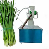 Machine à lier les bouquets de fleurs électriques 220V, machine à attacher pour bouquets mixtes de lys et de tulipes, commande tactile, machine à lier avec corde élastique
