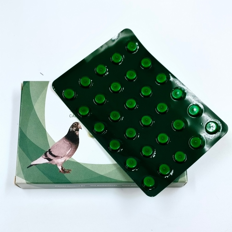 pigeon nutrition supplement