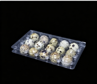 Plateaux à œufs de caille transparents en plastique, capacités 6, 12, 15, 18, 20, 24, 30 œufs, cartons à œufs de caille en plastique transparent, cartons à œufs de caille en promotion