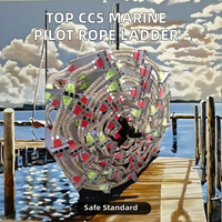 Échelle d'embarquement de pilote marin en aluminium Solas