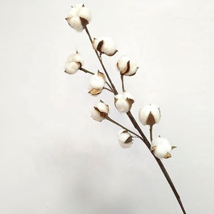 Wholesale Dried Flower Branches Handmade 10 Heads <strong>Cotton</strong> <strong>Stems</strong> for DIY Event Party Decorations - Product Image 1
