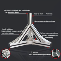 Profil Aluminium Bentuk Khusus Multi Rongga Kustom, Layanan Pembuatan Cetakan Ekstrusi Aluminium Industri, Pemesinan CNC & Anodisasi