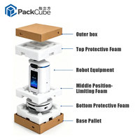 Emballage d'expédition professionnel pour robots de service et appareils intelligents, étui de protection multi-points personnalisé