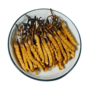Chất lượng cao khô Cordyceps Cordyceps ophiocordyceps Sinensis - Product Image 3