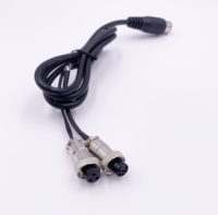 OEM-Hersteller Stecker Kabelbaum baugruppe m12 Kabel Buchse und Stecker Hoch temperatur Auto Elektrokabel PARALLEL KABEL