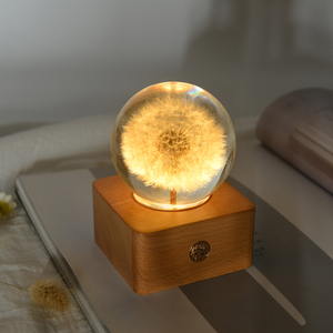 Lovebay nuova tendenza sfera <span class=keywords><strong>di</strong></span> cristallo pianta vera resina <span class=keywords><strong>di</strong></span> fiori immortali ornamento decorativo luce notturna per regalo <span class=keywords><strong>di</strong></span> fiori conservati - Product Image 5