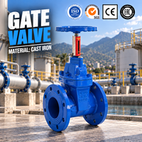 Katup Gerbang Bersegi Empat Tipe OS&Y Flanged Soft Seal Valve Rising Stem Resilient Seated Gate Valve untuk Sistem Penyediaan Air dan Pengendalian Pipa Sistem Pencegahan Kebakaran