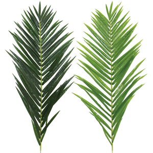 Thiết Kế Mới Bán Buôn Chi Nhánh Vườn Cây Lá Cho Nhà Phòng Khách Trang Trí Nhân Tạo Màu Xanh Lá Cây Cây Với Chất Lượng Cao - Product Image 3