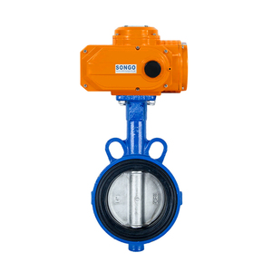 Válvula de Hierro Fundido Tipo 2INCH DN50 ANSI Clase 150 Accionada por 4-20mA - Product Image 4