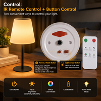 Lampe de table solaire LED rechargeable CoolQing avec télécommande, lumière RGB, décoration d'ambiance pour jardin extérieur, vente en gros, personnalisable