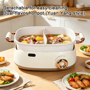 Marmite Électrique Multifonctionnelle Antiadhésive Tout-en-un avec Compartiments, Double Saveur, pour la Maison : Shabu, Friture, Cuisson - Product Image 1