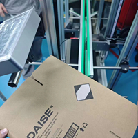 Système d'inspection par vision et d'impression jet d'encre automatique pour cartons, solutions pour lignes de production d'emballage