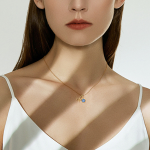 FY gioielli di moda impermeabile in acciaio inox zodiaco 12 mesi portafortuna con strass collana regalo per le donne - Product Image 5