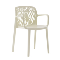 Chaise d'appoint en plastique ajouré de style nordique avec accoudoirs, pour intérieur et extérieur, idéale pour bistrot, terrasse et balcon