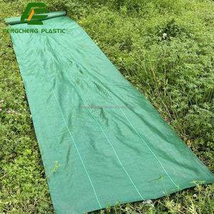 Couverture de sol tissée <span class=keywords><strong>verte</strong></span> <span class=keywords><strong>pour</strong></span> jardins et parterres, durable, membrane anti-mauvaises herbes de 2 m, couverture anti-herbe, tapis anti-mauvaises herbes - Product Image 1