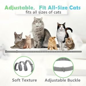 <span class=keywords><strong>Collier</strong></span> moderne anti-puces et tiques <span class=keywords><strong>pour</strong></span> chiens et chats Silicone souple avec protection longue durée Motif solide en gros - Product Image 2