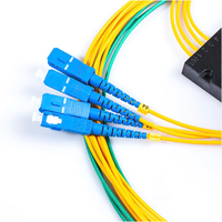 Kotak Splitter PLC Serat Optik ABS SC UPC Adapter 4 8 16 32 Jalur Konektor yang Dapat Disesuaikan Pembagi Simetris untuk Pusat Data FTTx