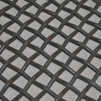 Grillage perforé à trous carrés, en acier inoxydable, tissé, ondulé, noir, pour paroi d'enclos à porcs