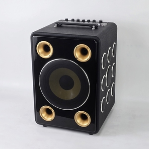 Sistema de Karaoke Portátil CH-A08 de 8 Pulgadas con Múltiples Bocinas Doradas, Compatible con Micrófono Inalámbrico, Batería Recargable - Product Image 1