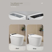 Toilette intelligente professionnelle avec chauffage de siège et télécommande incluse, double chasse d'eau, à poser au sol, pour les marchés mondiaux
