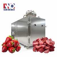 Machine de lyophilisation Premium Édition Rouge - Lyophilisateur Grande Capacité 150 kg pour Tranches de Fraise et Fruits