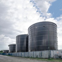 Réservoir sous pression en acier avec commande PLC pour la digestion anaérobie automatique des excréments animaux et des déchets végétaux