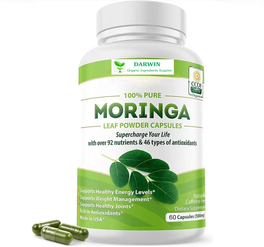 Cápsula de Moringa em pó 500 mg Cápsulas de Moringa Orgânica Puro a granel preço de atacado