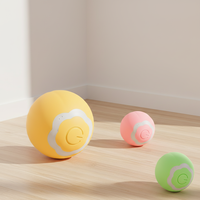 Langlebiger Silikon-Trainingsball für Kleine und Mittlere Hunde Innen- und Außenbereich Individuelles Logo und Robuster Eva Moderner Modischer Haustier-Trainingsball