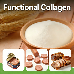 Colágeno proteico funcional en polvo para la producción de <span class=keywords><strong>carne</strong></span> y salchichas-- Certificado ISO/ HACCP/ HALAL - Product Image 1