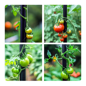 Tige en fibre de verre FRP 2mm 3mm 4mm 6mm 8mm, bâton solide en fibre de verre pultrudé - Product Image 6