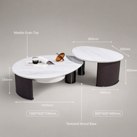 Table basse pour usage domestique, style italien moderne minimaliste, plateau en marbre Pandora, forme ovale, structure en métal, durable et facile à nettoyer
