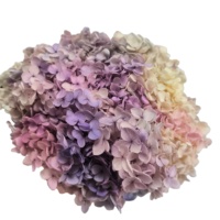 Mur de fleurs hortensias stabilisés vraies fleurs d'hortensia séchées anna hortensia préservé pour les événements à la maison décor de mariage bricolage artisanat