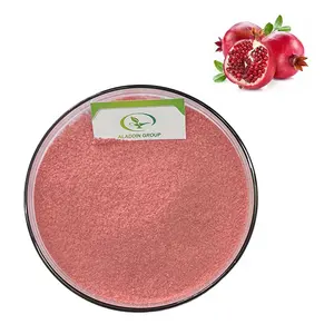 GMP hot sale high quality pure pomegranate fruit juice powder