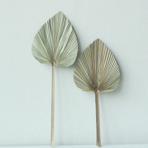 Regalo <span class=keywords><strong>de</strong></span> Alta Calidad para Novia, <span class=keywords><strong>Hojas</strong></span> <span class=keywords><strong>de</strong></span> Palma <span class=keywords><strong>Secas</strong></span>, <span class=keywords><strong>Hojas</strong></span> <span class=keywords><strong>de</strong></span> Palma Naturales - Product Image 3