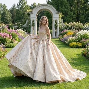 Robe de bal de luxe en mousseline Dy5995 pour Quinceañera, taille naturelle, appliques dorées brillantes, pour fête d'anniversaire formelle, traîne Watteau - Product Image 1