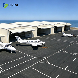 Hangar d'aviation modulaire préfabriqué en acier à colonnes libres, à grande hauteur de clairance, pour entrepôt et terminal aérien - Product Image 1