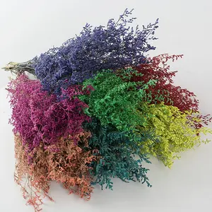 อุปทานโรงงานรักหญ้าที่เก็บรักษาไว้ <span class=keywords><strong>Limonium</strong></span> ธรรมชาติจริงเก็บรักษาไว้วาเลนไทน์หญ้าสำหรับตกแต่งบ้าน - Product Image 1