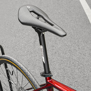 LUNJE 6061 Aluminium Logo <span class=keywords><strong>de</strong></span> taille personnalisée 300/350/400/450mm <span class=keywords><strong>Suspension</strong></span> compte-gouttes 25.4/27.2/28.6/30.4 <span class=keywords><strong>Tige</strong></span> <span class=keywords><strong>de</strong></span> <span class=keywords><strong>selle</strong></span> <span class=keywords><strong>de</strong></span> <span class=keywords><strong>vélo</strong></span> <span class=keywords><strong>Tige</strong></span> <span class=keywords><strong>de</strong></span> <span class=keywords><strong>selle</strong></span> <span class=keywords><strong>de</strong></span> <span class=keywords><strong>vélo</strong></span> - Product Image 6