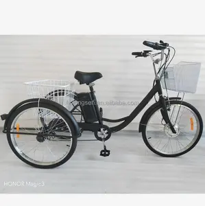 portador da bicicleta triciclo Suppliers-Triciclo elétrico 2022/três rodas motocicleta/triciclo elétrico certificado adulto grande roda triciclo elétrico triciclo para