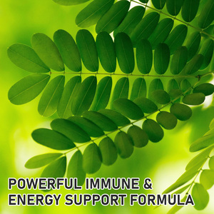 Capsules de feuilles de Moringa en marque privée, contenant de l'extrait de Moringa, favorisent naturellement l'énergie et la vitalité. - Product Image 6