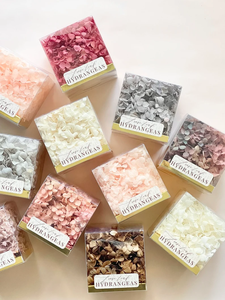 بتلات الكوبية الطبيعية محاصر الكوبية الملونة مجموعة البتلة الأبدية زهرة الزفاف تصميم الأزهار DIY ديكور الزهور الكوبية الزهور - Product Image 5