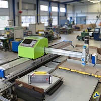 Mini machine de découpe laser à fibre CNC pour tôle composants Hiwin de qualité de bord de haute précision BMP/PLT/DWG/DST rapide