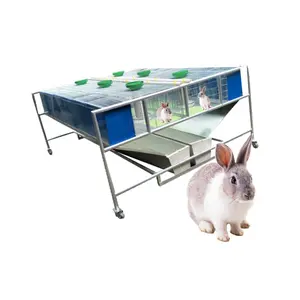 China Factory Supply Price Cages For Rabbits Manufacturers Vertical Feeding Design Main Material Metal+Pp Rabbit Cage