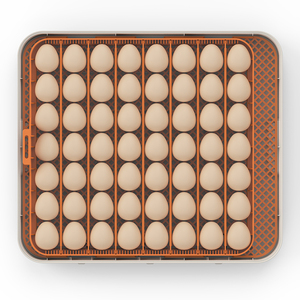 Incubateur HHD haut de gamme à nouvelle technologie pour 56 œufs, taux d'éclosion de 98%, contrôle de l'humidité et de la température, modèle Queen, en promotion - Product Image 3