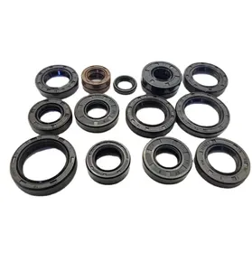 Rubber NBR FKM Oil Seal Skeleton Oil Seal Metal Dust Lip Machine Rotary Shaft OIL SEAL