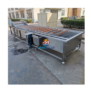 Nettoyant électrique pour machine à laver les olives et pommes avec moteur de brosse pour fruits et légumes frais comme composant principal - Product Image 4