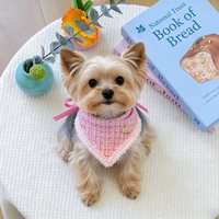 Bandana en jean à carreaux rouges avec nœud, support ODM/OEM, réglable, pour chats et chiens, serviette anti-salive pour usage quotidien