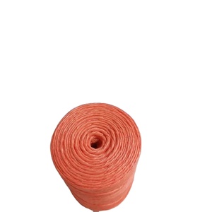 Fil de raffia en PP pour agrafeuse agricole, ficelle agricole torsadée en PP pour tomates, ficelle en PP pour bananes, corde d'emballage en PP/PE - Product Image 3