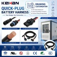 Faisceau de câbles personnalisé étanche IP67 avec connecteur rapide pour batteries, idéal pour les unités de stockage d'énergie extérieures